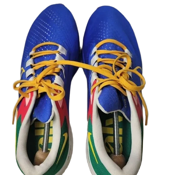 Nike Men's Air Zoom Pegasus 38 Jm Jordan Moss Shoes - Moss / Royal / Gold / Green / Red - Shopsportive