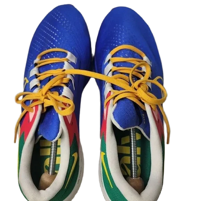 Nike Men's Air Zoom Pegasus 38 Jm Jordan Moss Shoes - Moss / Royal / Gold / Green / Red - Shopsportive